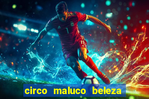 circo maluco beleza recife circo maluco