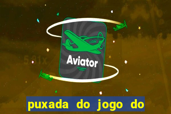 puxada do jogo do bicho da sueli