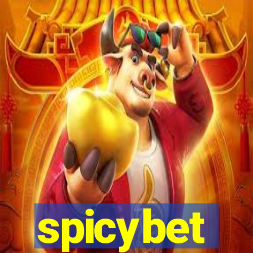 spicybet-2.com