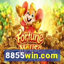 8855win.com